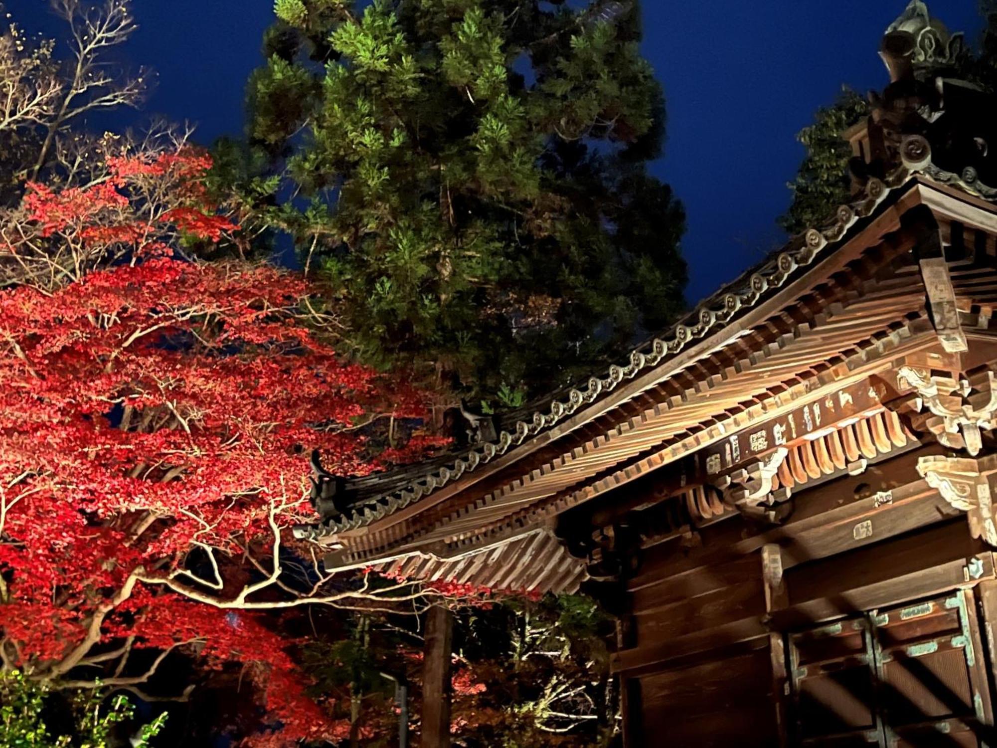 Vessel Inn Shigamoriyama Station Exteriér fotografie